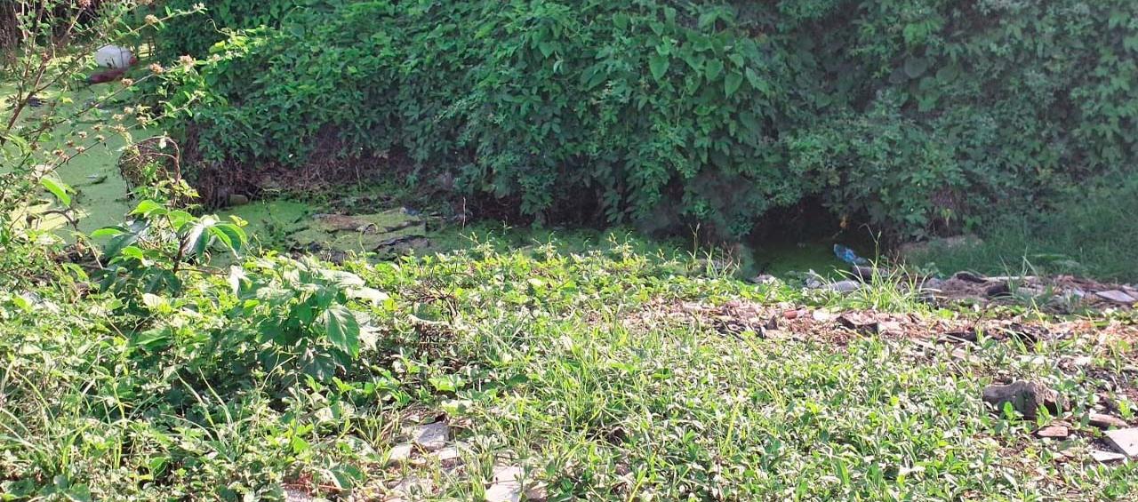 Cuerpo hallado en descomposición. 