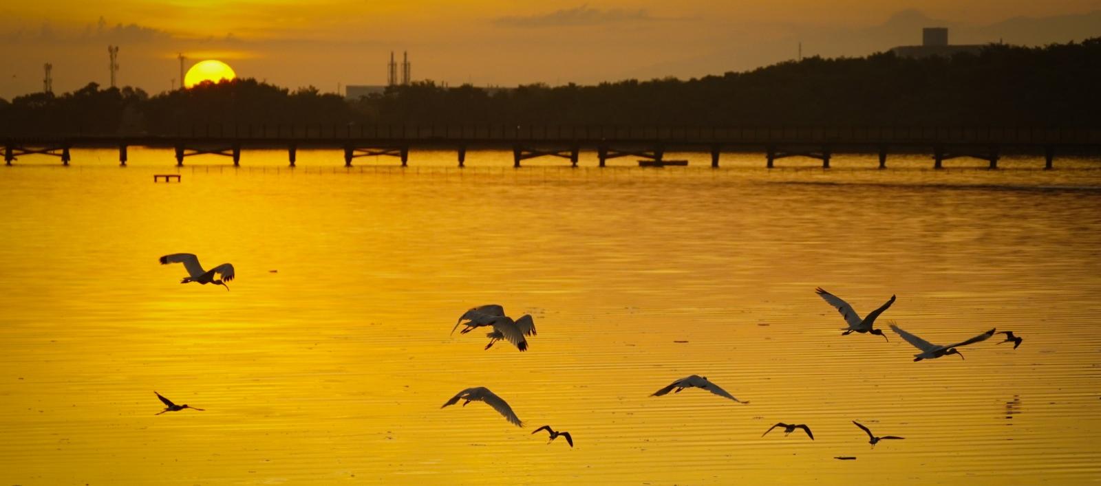 El Ecoparque Ciénaga de Mallorquín es uno de los destinos preferidos por los turistas. 