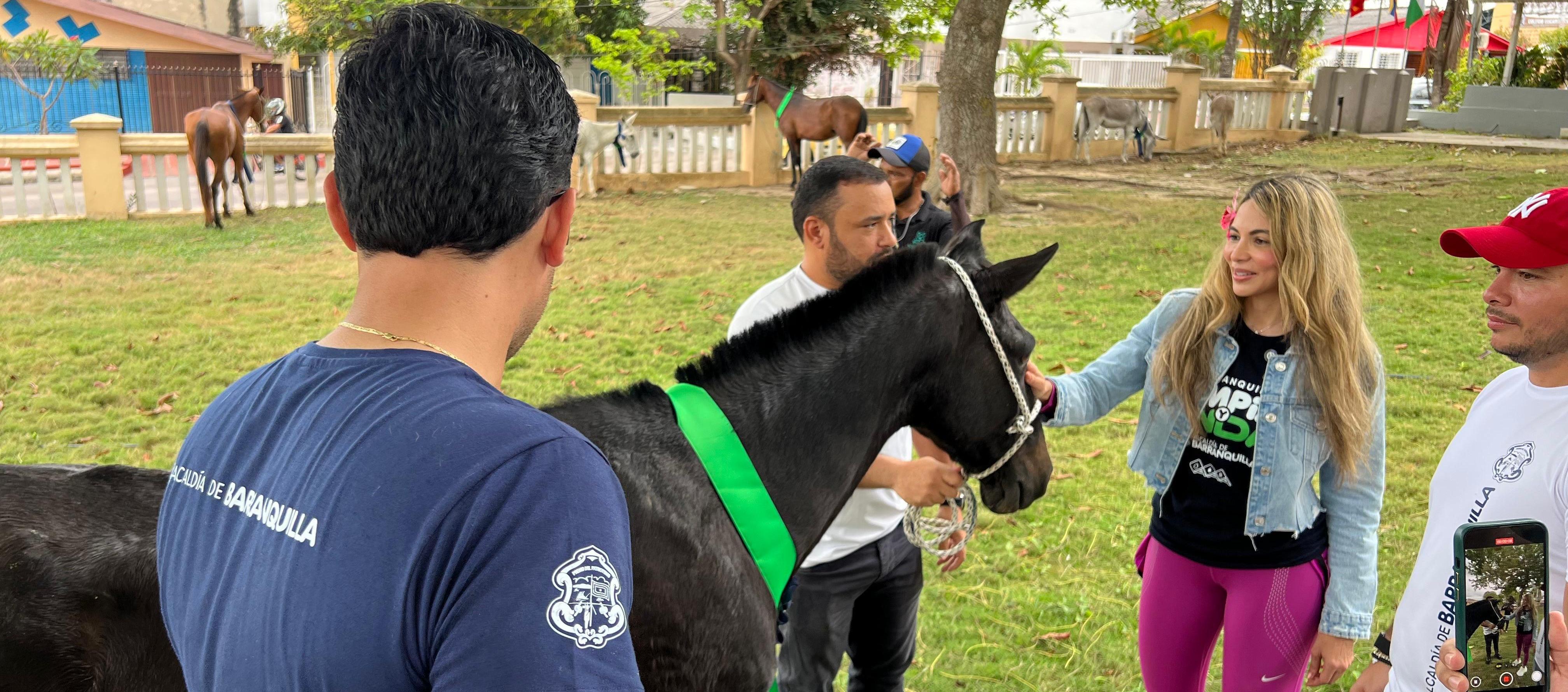 Animales entregados en adopción. 