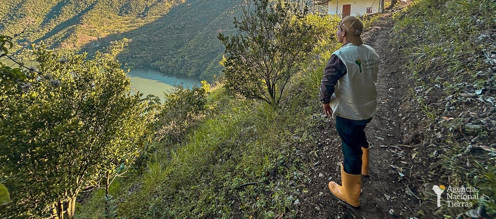 Imagen de referencia.