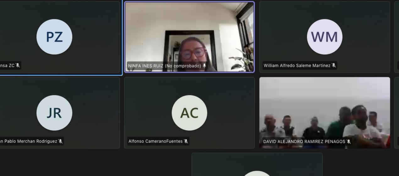 Intervención en la audiencia de Ninfa Inés Ruiz, apoderada de David de Castro Macías. 