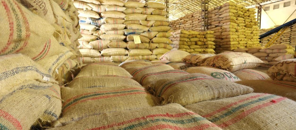 Imagen de referencia.