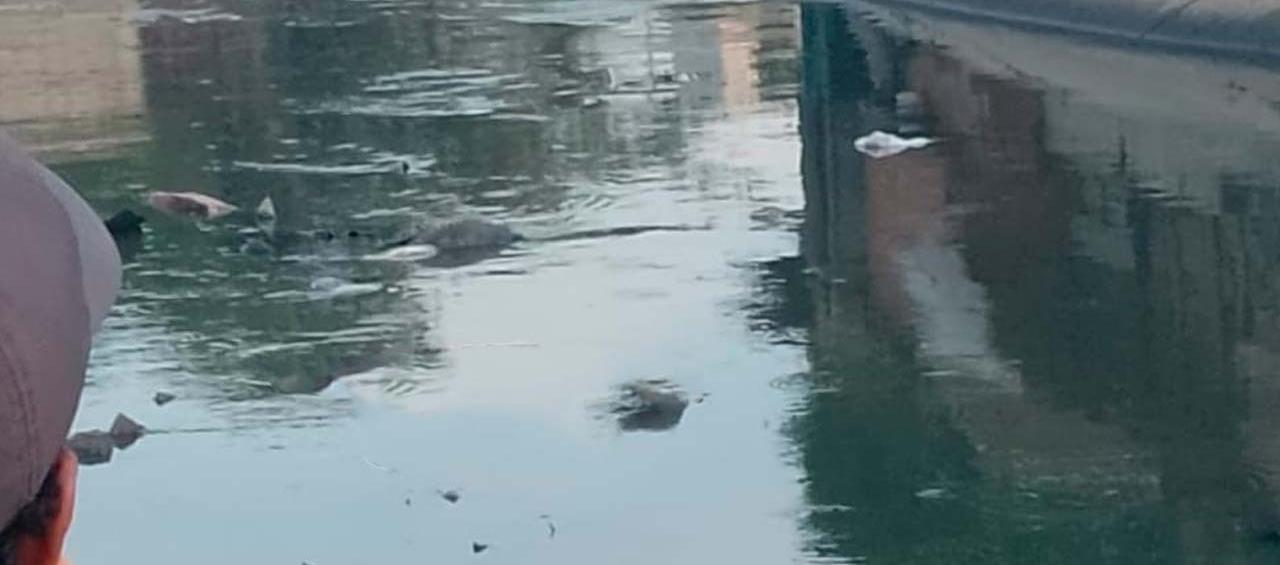 Lugar donde fue hallado el cuerpo.