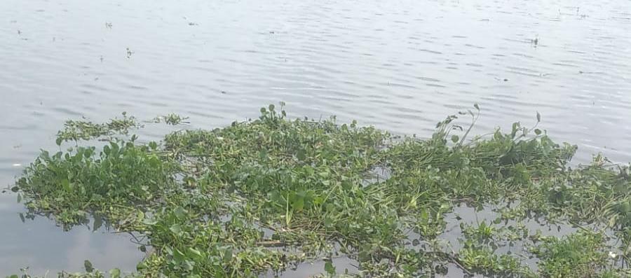 Momento del hallazgo del cadáver. 