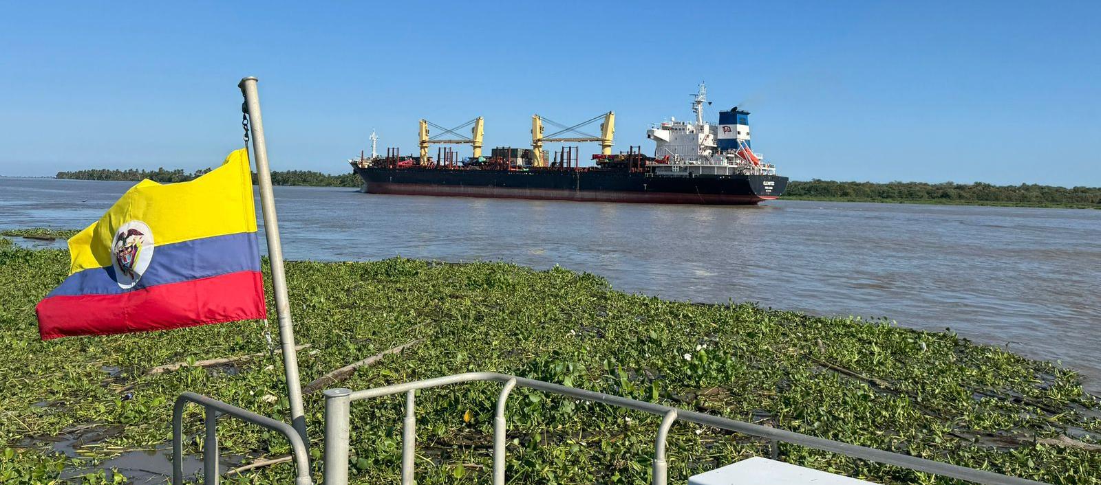 Imagen de referencia.