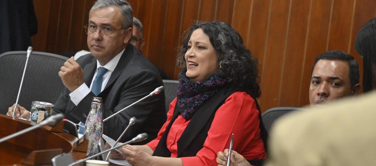 Angélica Lozano, presidenta de la Comisión IV del Senado.