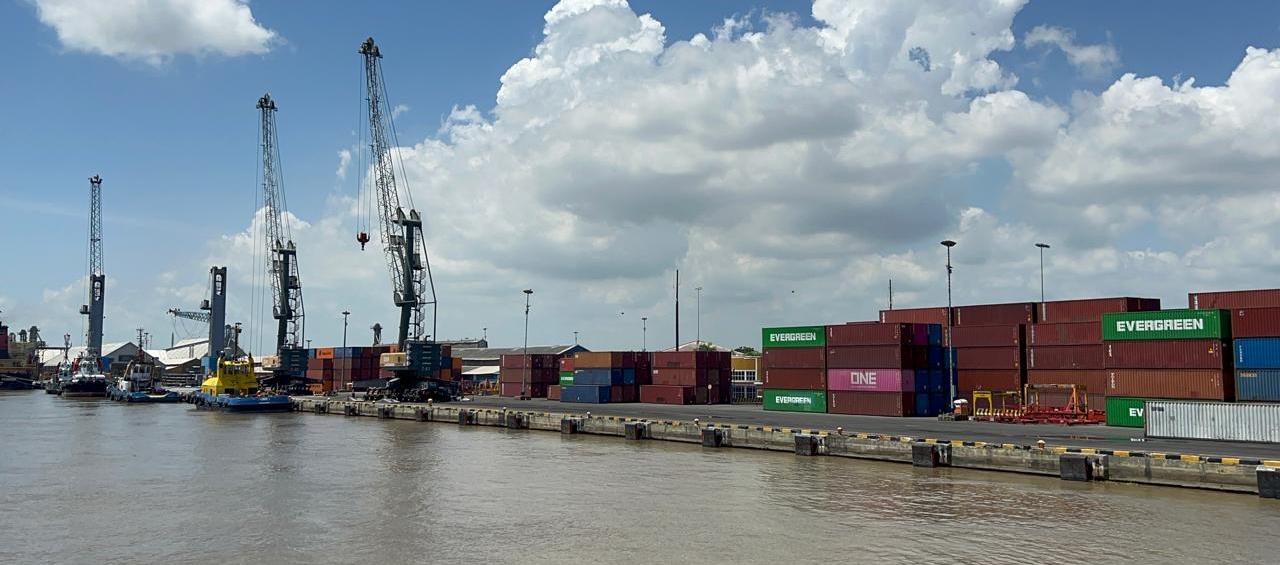 Imagen de referencia.