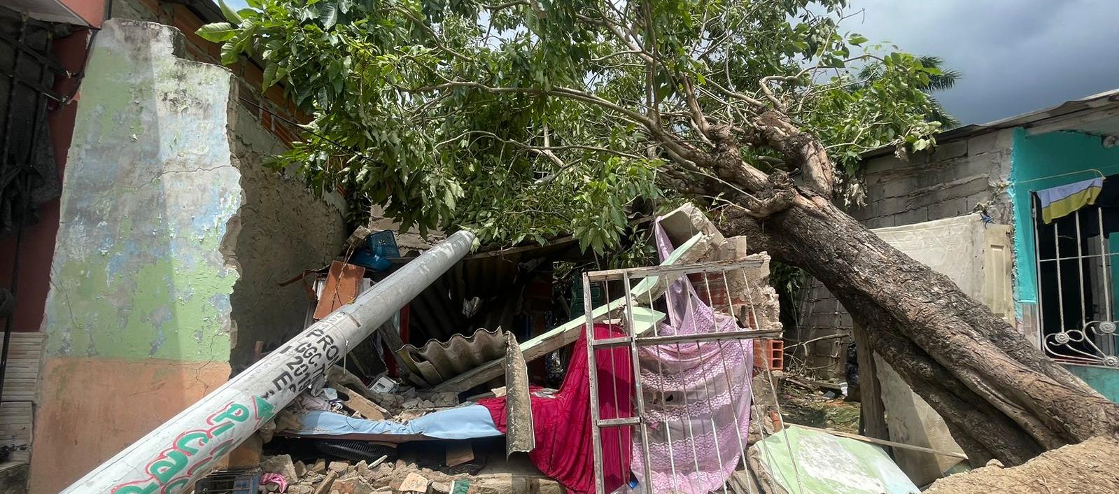 Imagen de referencia.