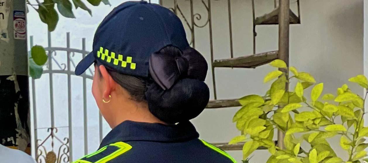 Imagen de referencia