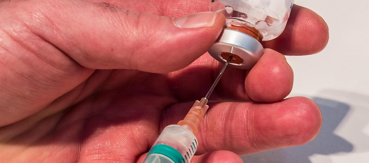 Imagen de referencia.