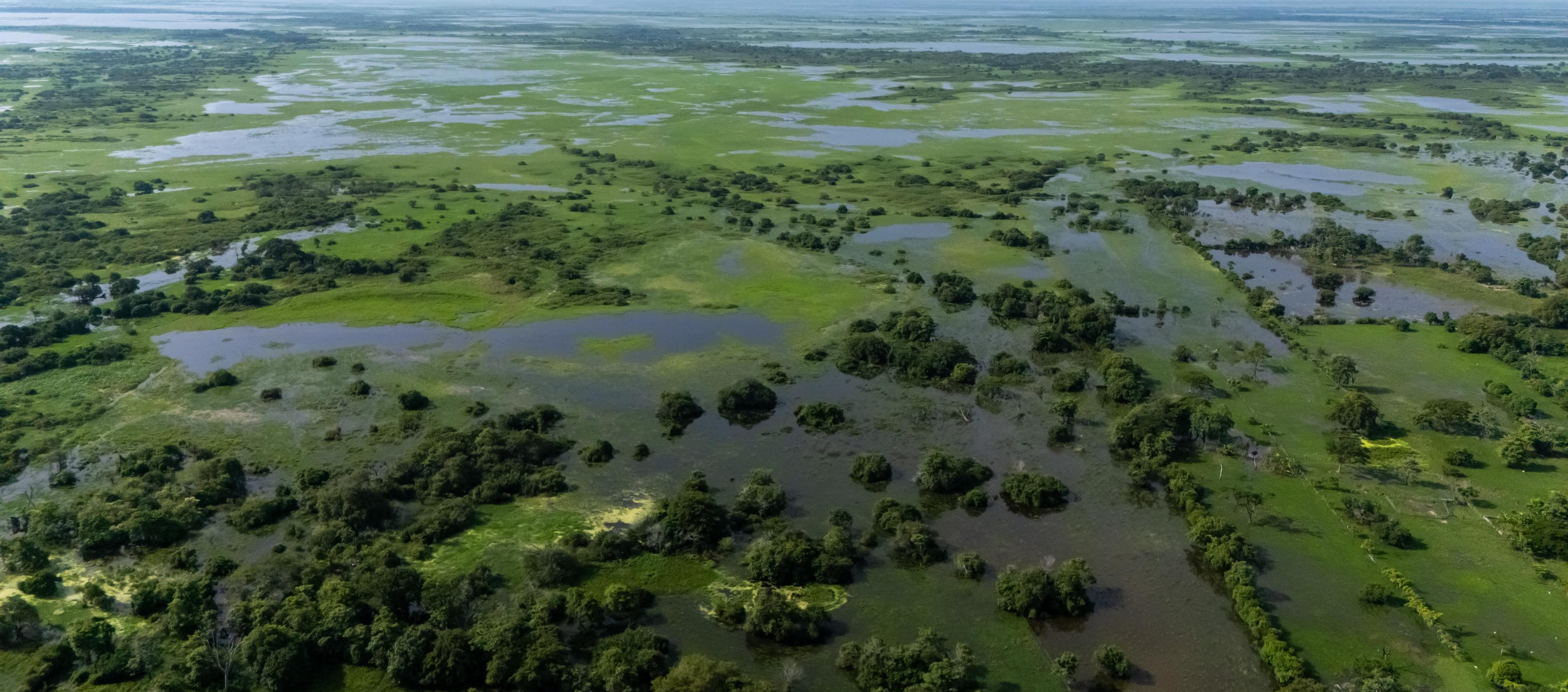 Imagen de La Mojana.