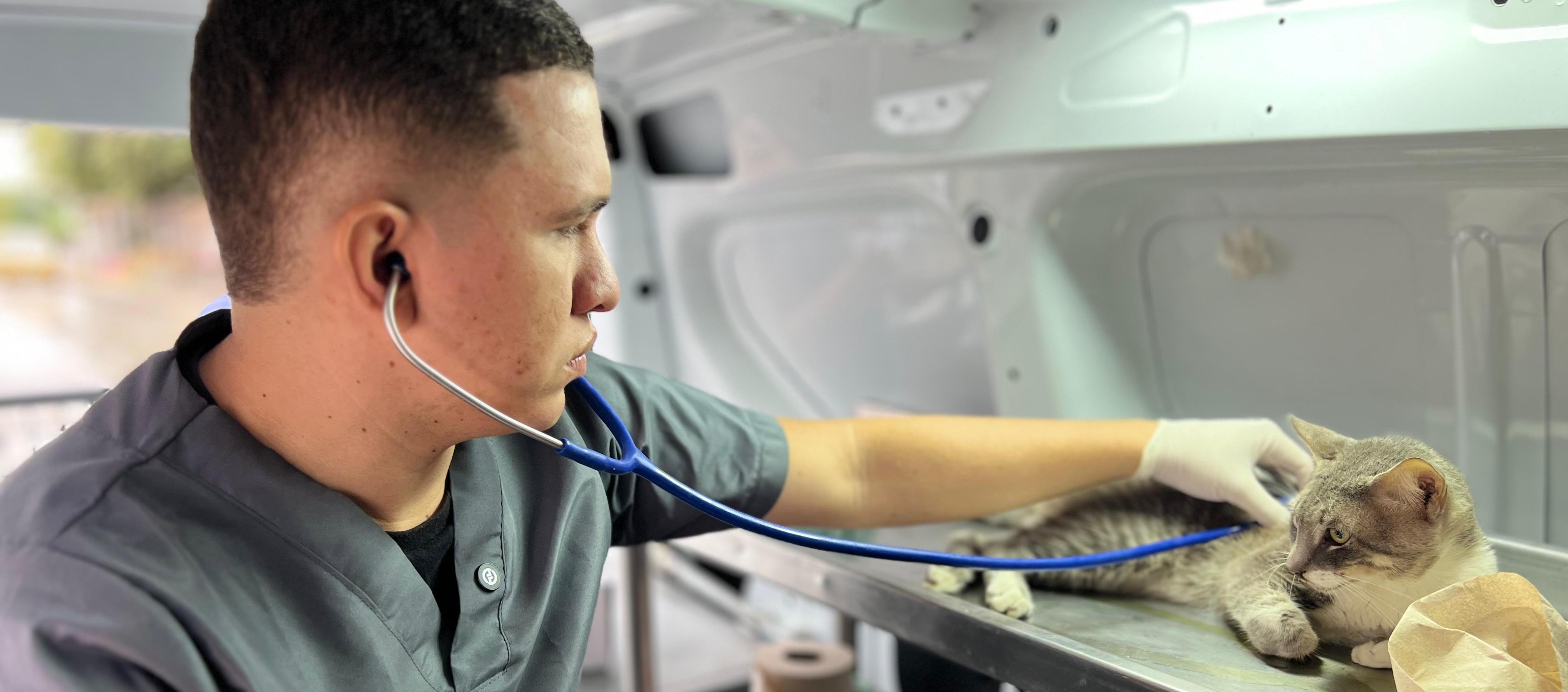 Médico veterinario mientras atiende a un animalito. 