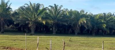 Imagen de referencia.