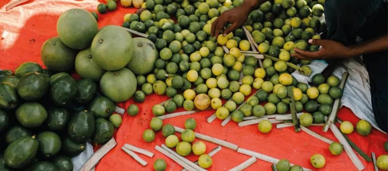 Imagen de referencia.