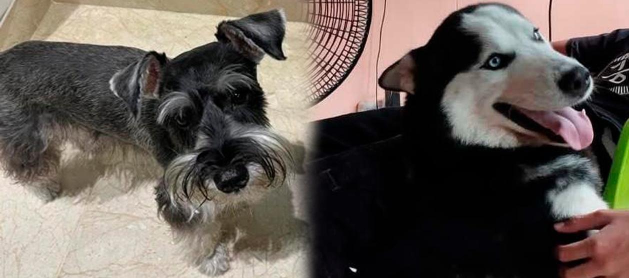 'Jack' e 'Ian José'. 