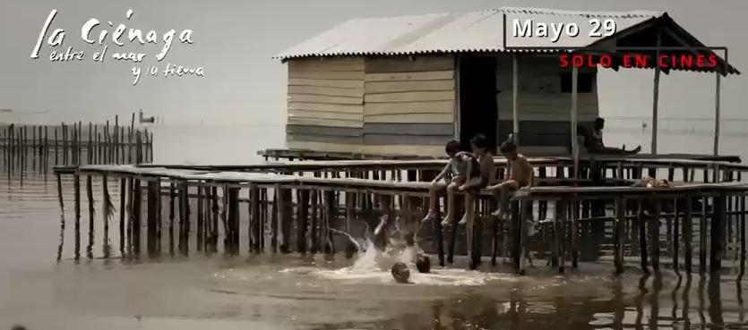 Fue grabada en la Ciénaga Grande de Santa Marta. 