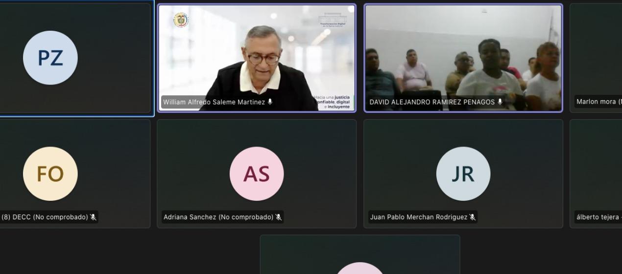 Aspecto de la audiencia virtual de este viernes. 