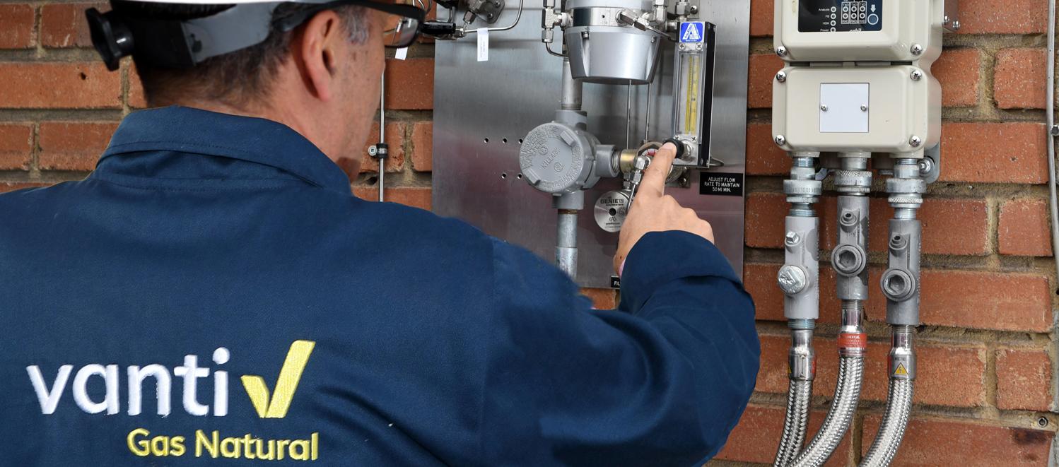 Imagen de referencia.