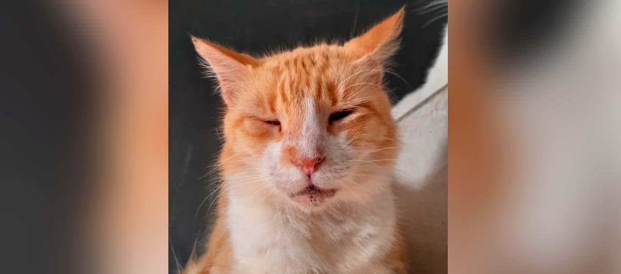 Fotografía de 'Mocha'.