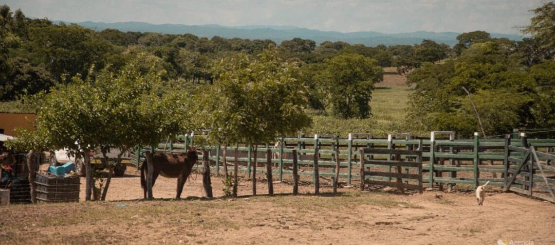 Regional Cesar corrobora cuales funcionarios habrían realizado las conductas denunciadas.