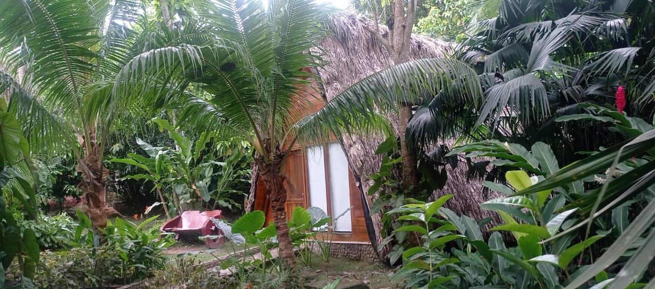 Ecohabs Bamboo Tayrona.
