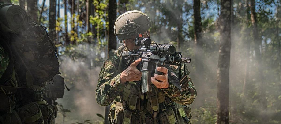 Imagen de referencia.