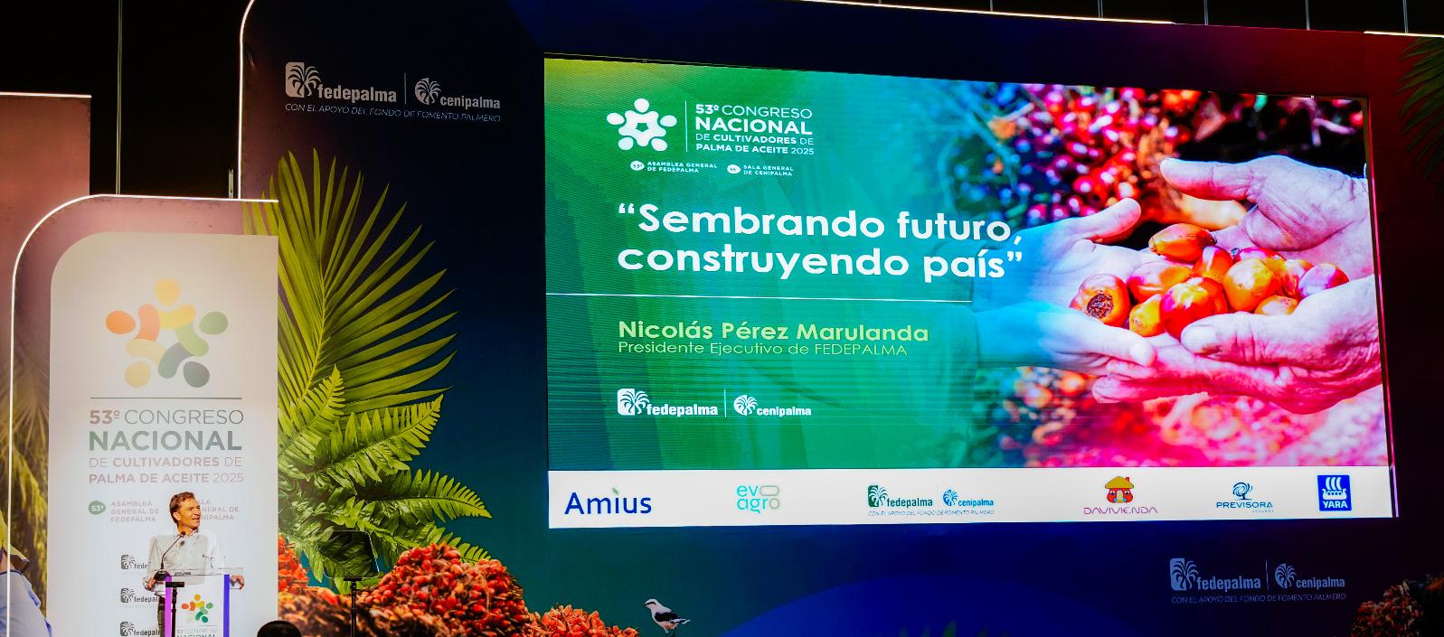 Nicolás Pérez Marulanda, presidente Ejecutivo de Fedepalma.