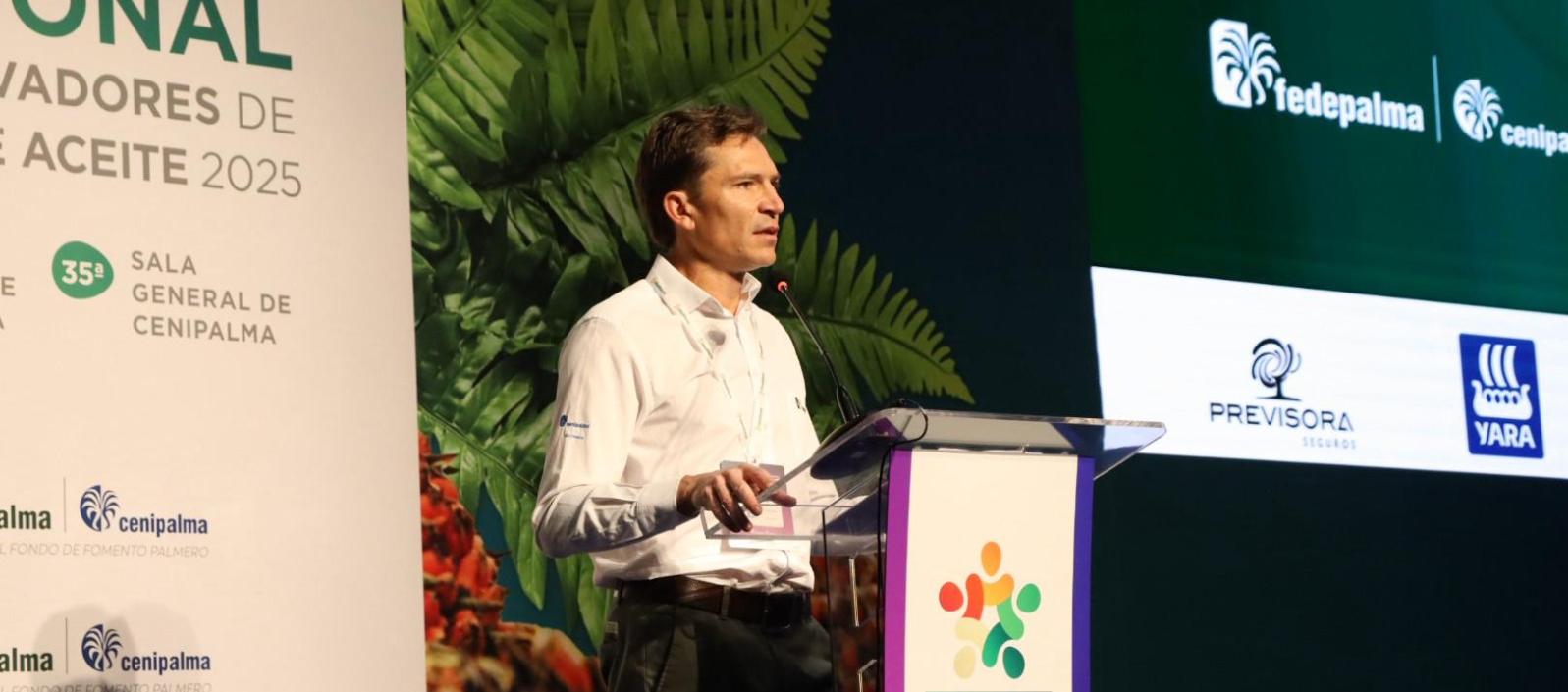 Nicolás Pérez Marulanda, presidente Ejecutivo de Fedepalma.