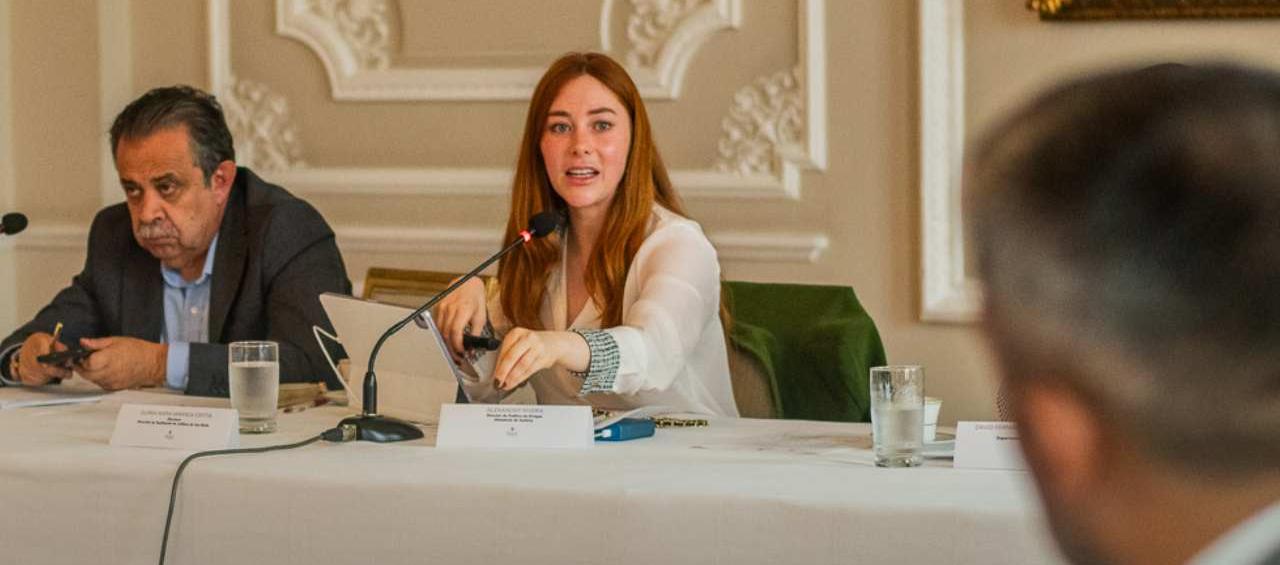 Gloria Miranda, directora de Sustitución de Cultivos de Uso Ilícito.