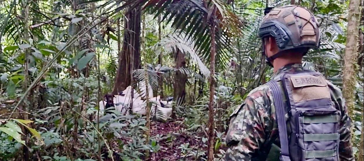 Imagen de referencia.