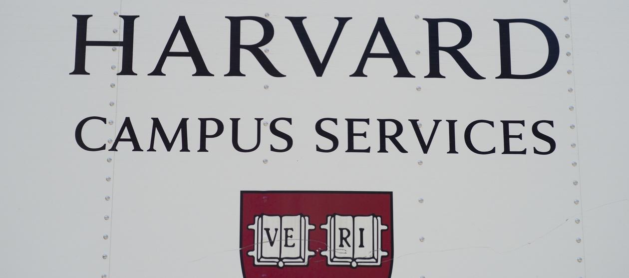 Imagen de referencia.