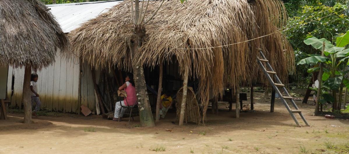 Pueblo indígena Jiw. 