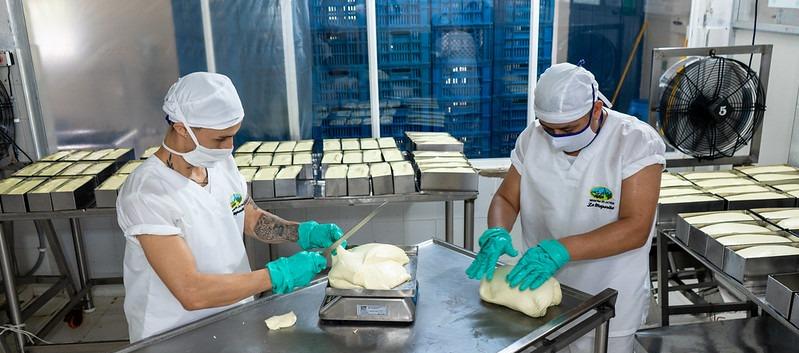 La mayoría de las mipymes que han recibido apoyo del Ministerio, a través de Colombia Productiva, pertenecen al sector servicios (58,9 %).