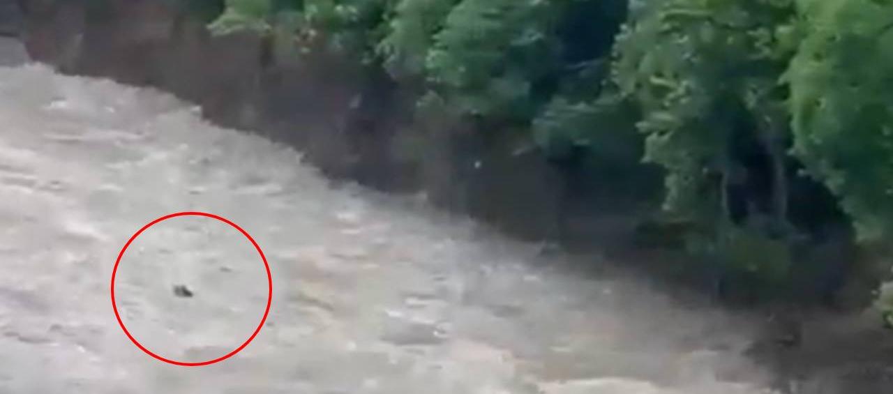 El hecho tuvo lugar en Mesetas, Meta. 