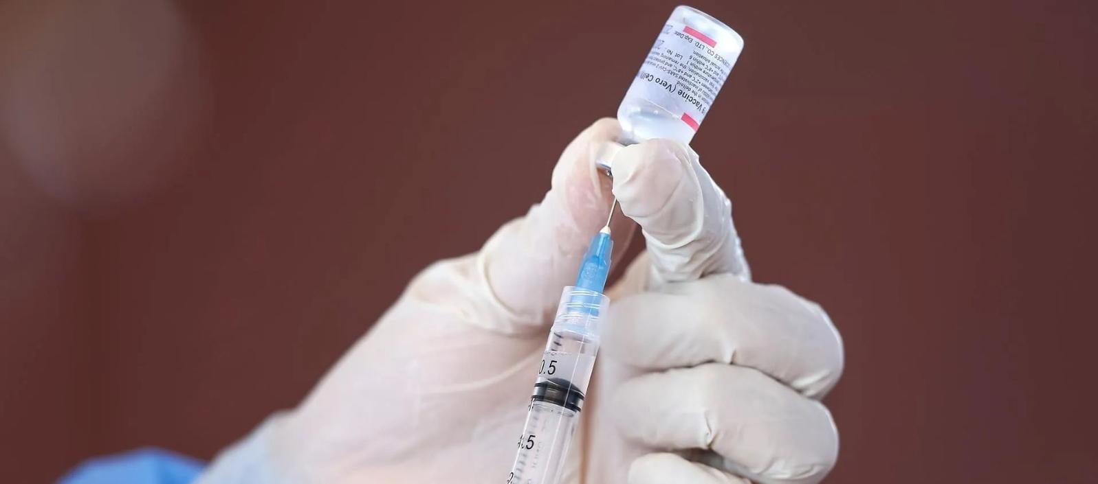 Imagen de referencia.