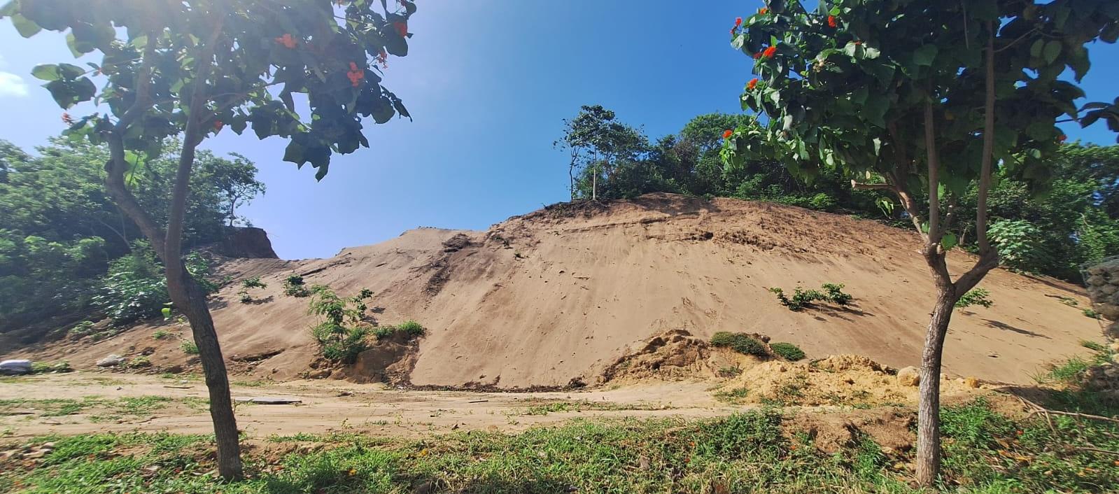 Coadyuvan acción popular interpuesta por la Procuraduría.