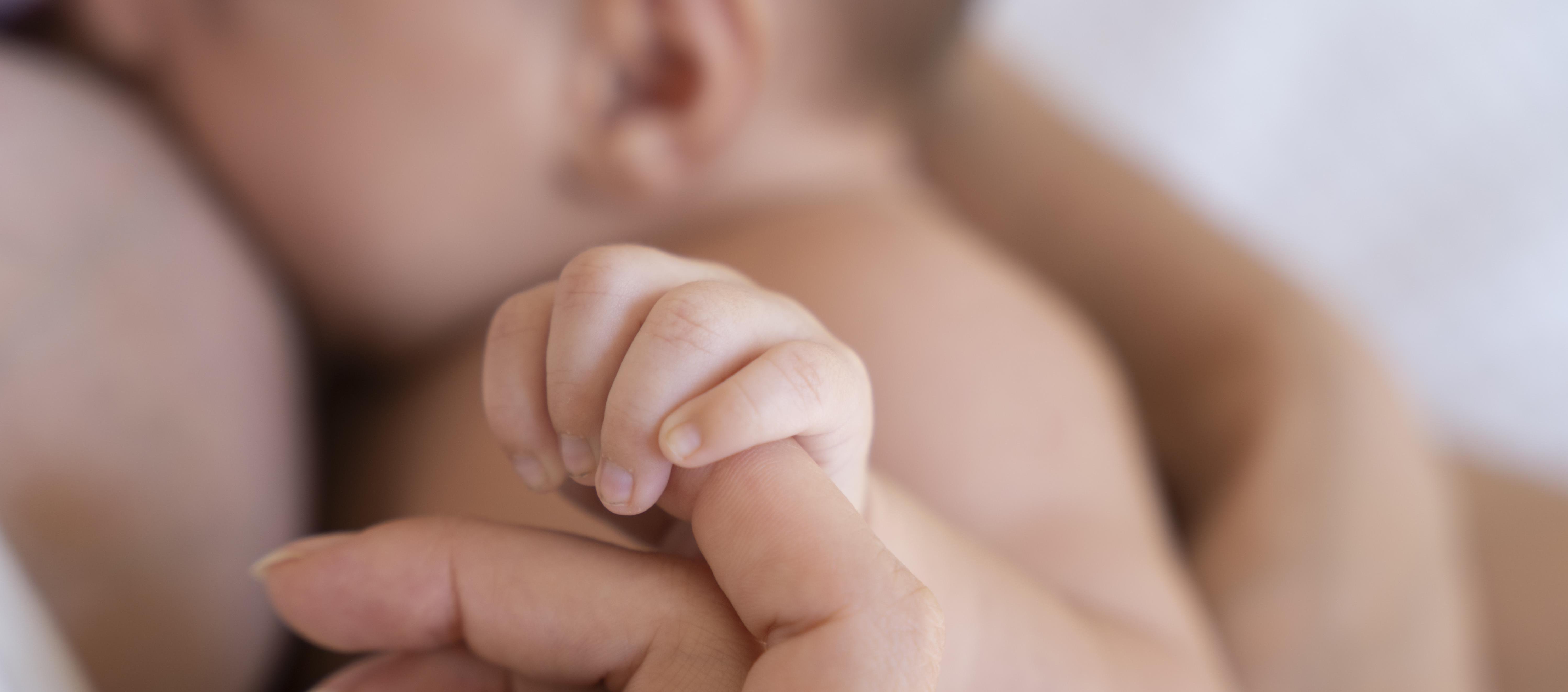 Imagen de referencia.