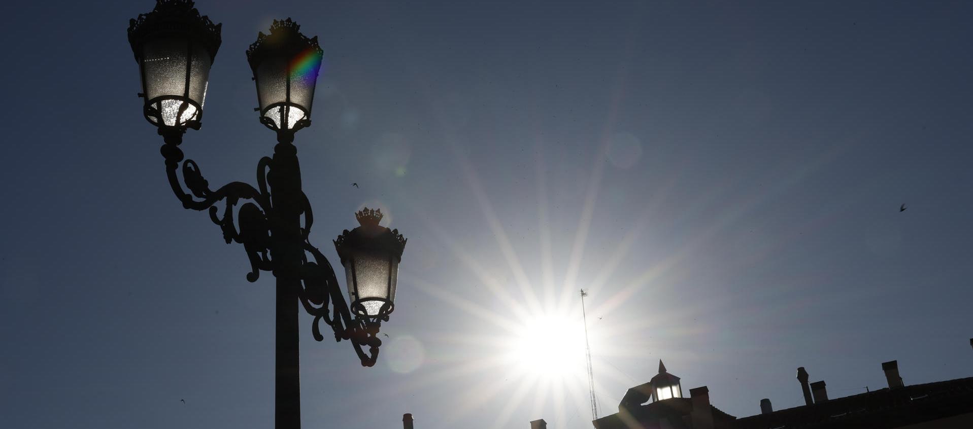 Imagen de referencia.