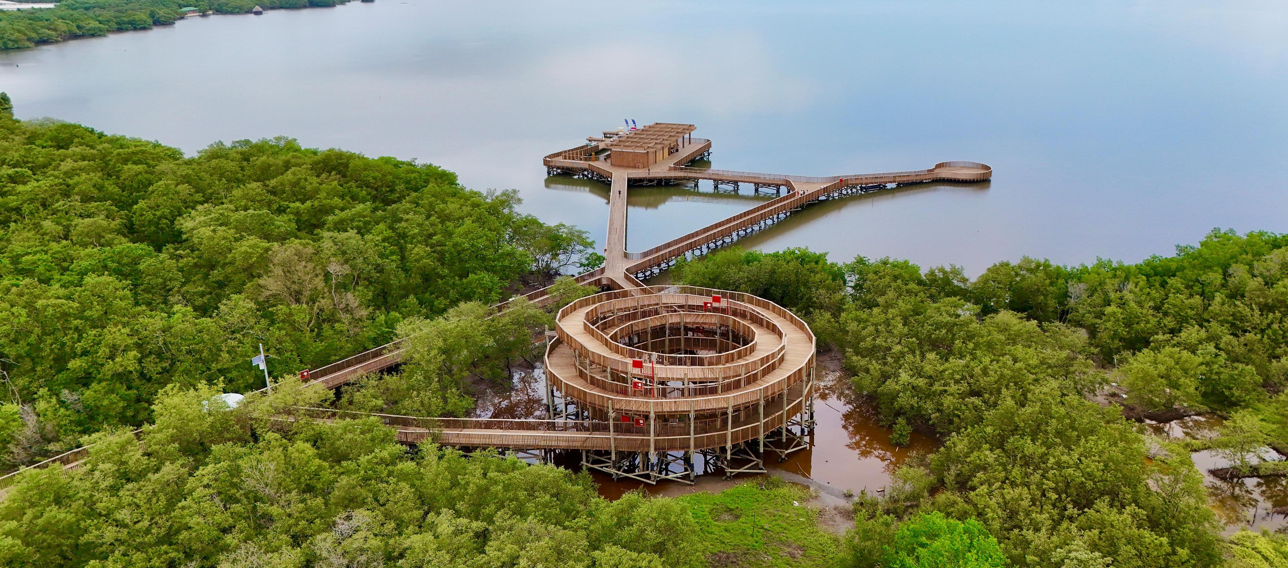 Barranquilla fortalece su liderazgo en turismo sostenible con alianzas que conectan biodiversidad, ciencia e inclusión.