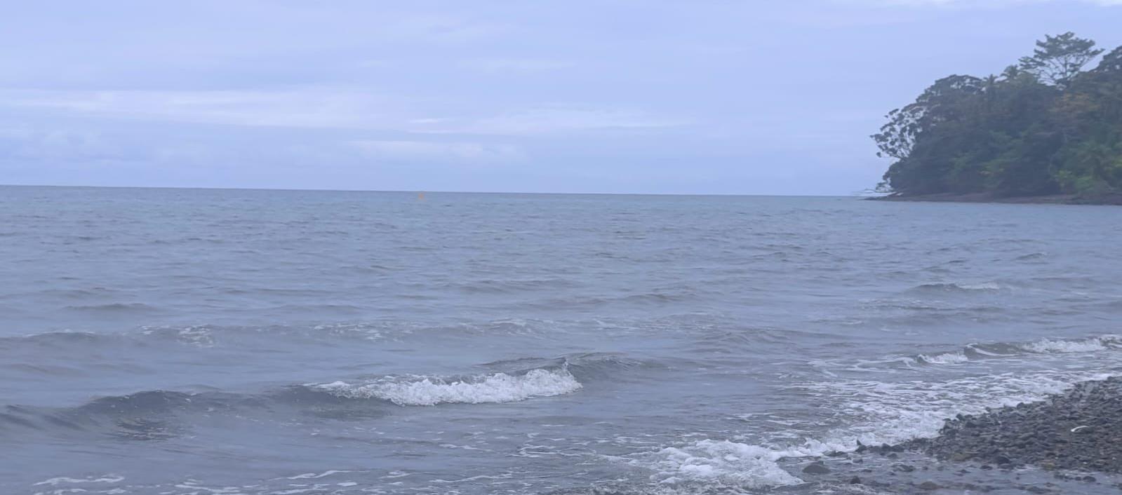 Imagen de referencia.