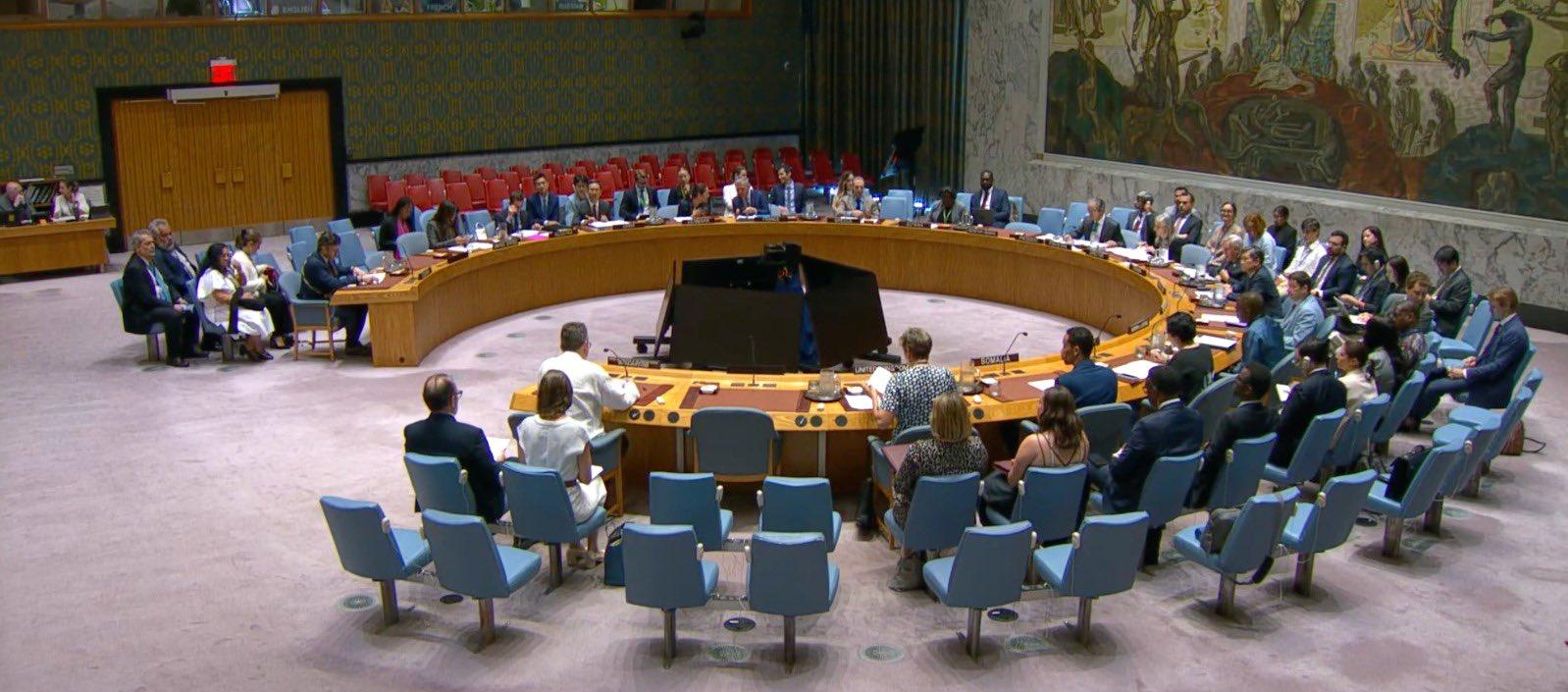 Consejo de Seguridad de la ONU.