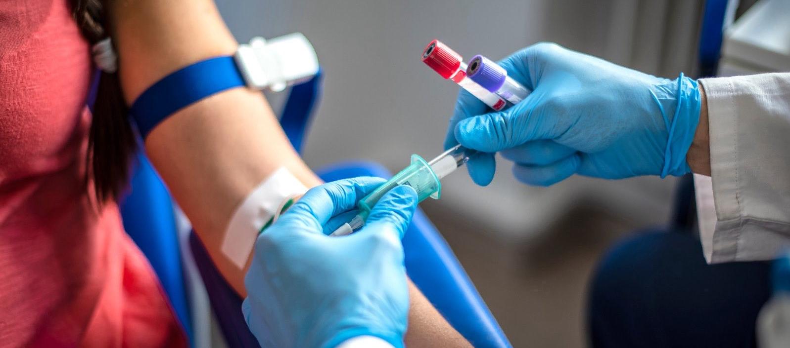 Imagen de referencia.