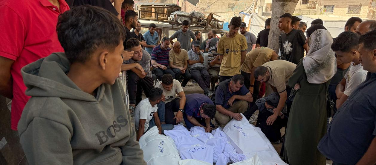 Imagen de referencia.