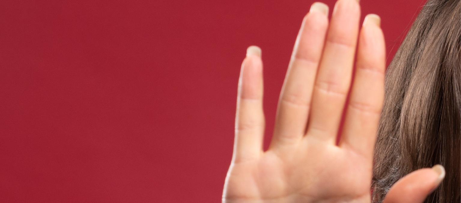 Imagen de referencia.