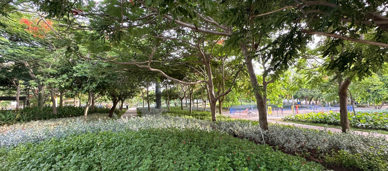 Parque Espejo en Villa Carolina intervenido.