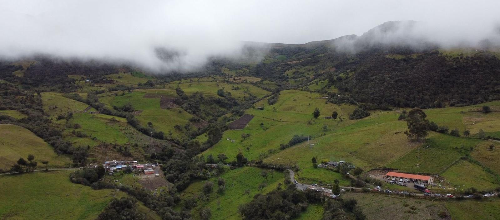 Imagen de referencia.