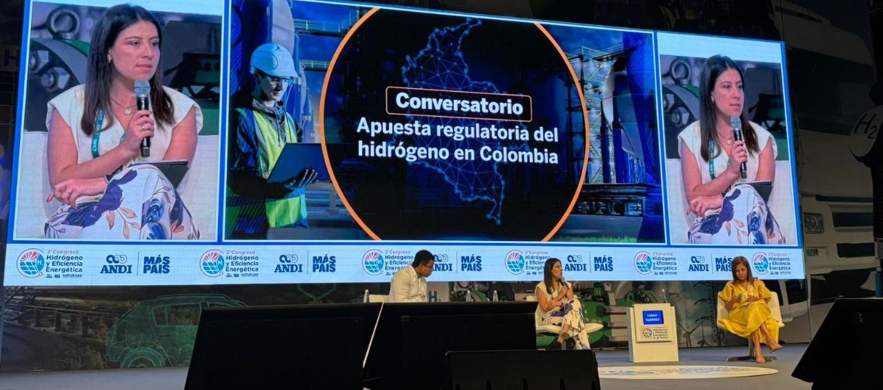 Congreso de Hidrógeno y Eficiencia Energética.
