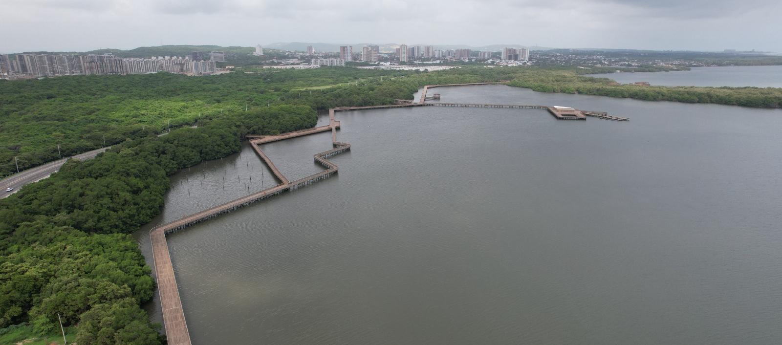 La jornada de siembra se llevará a cabo en la ciénaga de Mallorquín. 