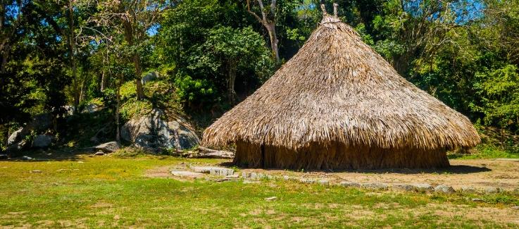 Imagen de referencia.