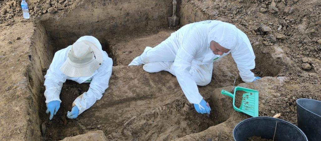La aparición de estructuras óseas se dio en un predio rural.